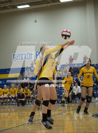 Thumbnail 2 in Klein Collins @ Klein photogallery.