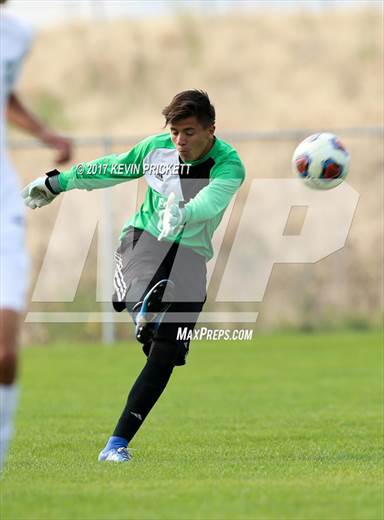 null - Photo 11