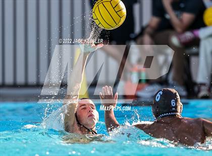 Thumbnail 3 in Damien @ Crespi photogallery.