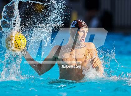 Thumbnail 3 in Damien @ Crespi photogallery.
