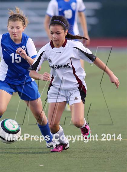 Thumbnail 3 in Davis @ Woodcreek photogallery.