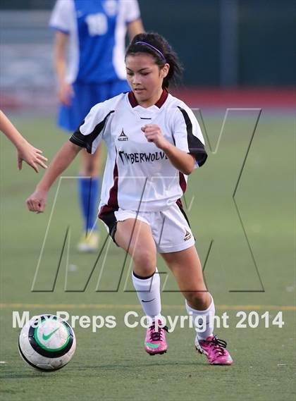 Thumbnail 2 in Davis @ Woodcreek photogallery.
