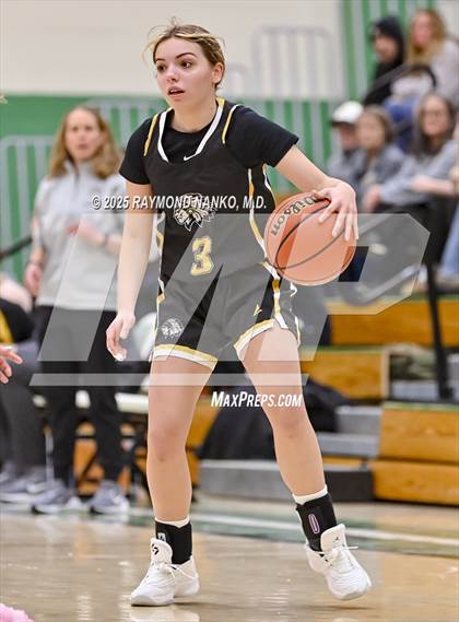 Thumbnail 3 in Daleville @ Cowan (Delaware County Tournament)  photogallery.