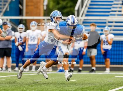 Thumbnail 1 in JV: Simon Kenton @ Covington Catholic photogallery.