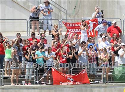 Thumbnail 2 in McNeil vs Tomball (5A Region II Final) photogallery.