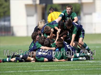 Thumbnail 1 in McNeil vs Tomball (5A Region II Final) photogallery.
