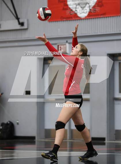 Thumbnail 1 in Chico @ Foothill  photogallery.
