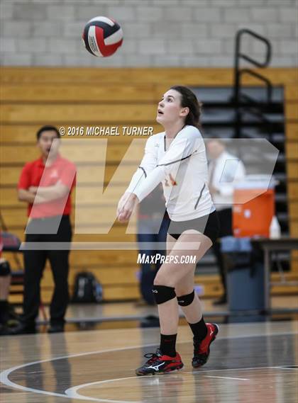 Thumbnail 1 in Chico @ Foothill  photogallery.