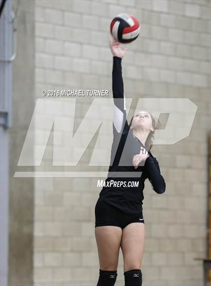 Thumbnail 3 in Chico @ Foothill  photogallery.