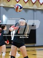 Photo from the gallery "Wiregrass Ranch @ Pasco"