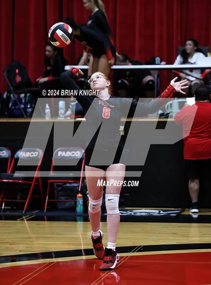 Thumbnail 3 in Wiregrass Ranch @ Pasco photogallery.