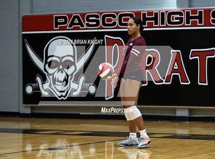 Thumbnail 1 in Wiregrass Ranch @ Pasco photogallery.