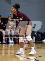 Photo from the gallery "Wiregrass Ranch @ Pasco"
