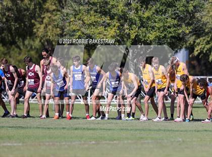 Thumbnail 1 in UIL Cross Country 5A Finals (5K) photogallery.