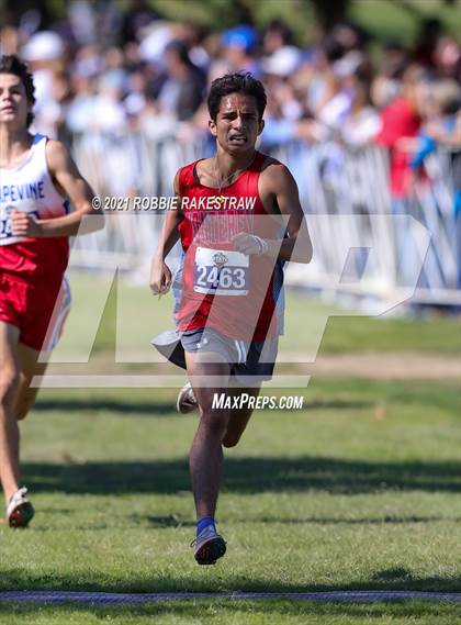 Thumbnail 3 in UIL Cross Country 5A Finals (5K) photogallery.