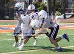 Photo from the gallery "Castlemont @ Balboa"