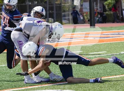 Thumbnail 2 in JV: Castlemont @ Balboa photogallery.