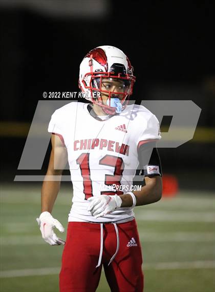 Thumbnail 1 in Chippewa Valley @ Romeo photogallery.