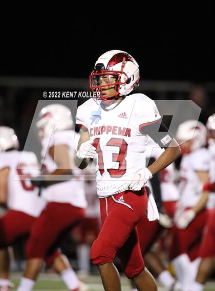 Thumbnail 3 in Chippewa Valley @ Romeo photogallery.
