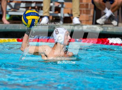 Thumbnail 2 in Crespi @ Loyola photogallery.