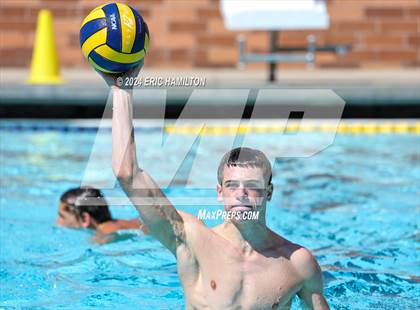 Thumbnail 3 in Crespi @ Loyola photogallery.