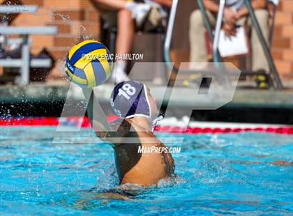 Thumbnail 2 in Crespi @ Loyola photogallery.