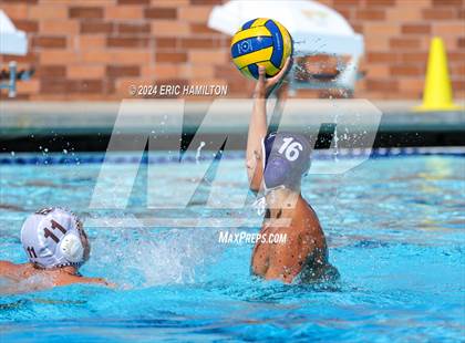 Thumbnail 3 in Crespi @ Loyola photogallery.