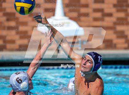 Thumbnail 1 in Crespi @ Loyola photogallery.