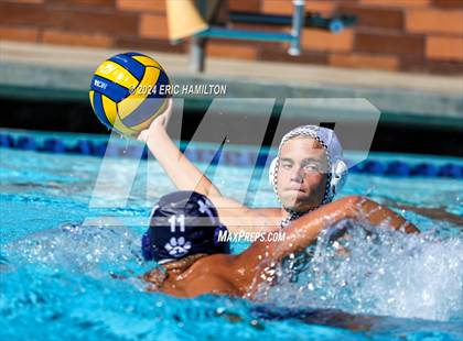 Thumbnail 2 in Crespi @ Loyola photogallery.