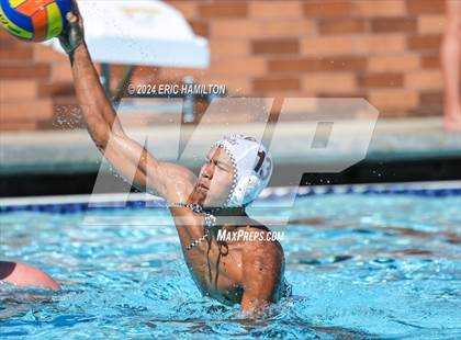 Thumbnail 3 in Crespi @ Loyola photogallery.