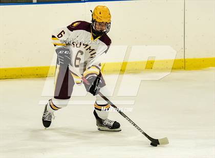 Thumbnail 1 in West Essex vs Summit photogallery.