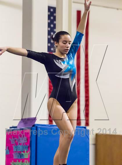 Thumbnail 3 in Glastonbury @ Wethersfield photogallery.