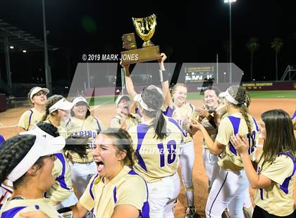 Thumbnail 2 in Sabino vs. Snowflake (AIA 3A Final - Awards) photogallery.