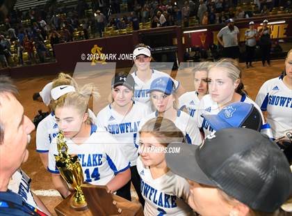 Thumbnail 1 in Sabino vs. Snowflake (AIA 3A Final - Awards) photogallery.