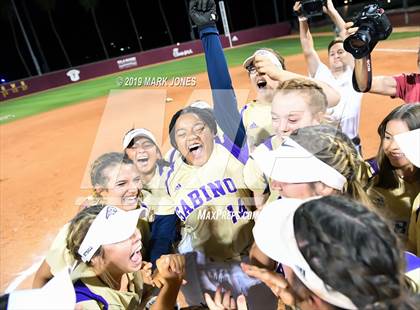 Thumbnail 3 in Sabino vs. Snowflake (AIA 3A Final - Awards) photogallery.