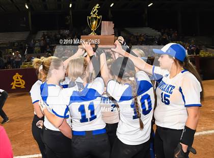 Thumbnail 2 in Sabino vs. Snowflake (AIA 3A Final - Awards) photogallery.