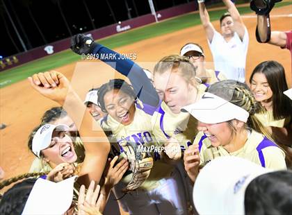 Thumbnail 1 in Sabino vs. Snowflake (AIA 3A Final - Awards) photogallery.