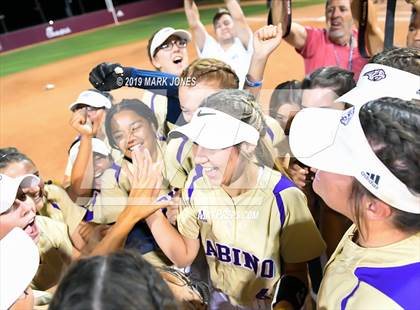 Thumbnail 2 in Sabino vs. Snowflake (AIA 3A Final - Awards) photogallery.