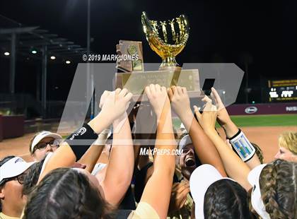 Thumbnail 1 in Sabino vs. Snowflake (AIA 3A Final - Awards) photogallery.