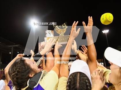 Thumbnail 2 in Sabino vs. Snowflake (AIA 3A Final - Awards) photogallery.