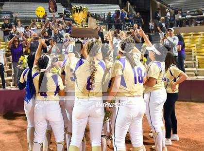 Thumbnail 3 in Sabino vs. Snowflake (AIA 3A Final - Awards) photogallery.