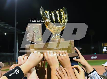 Thumbnail 2 in Sabino vs. Snowflake (AIA 3A Final - Awards) photogallery.