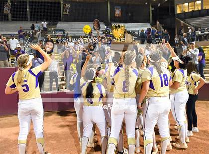 Thumbnail 2 in Sabino vs. Snowflake (AIA 3A Final - Awards) photogallery.