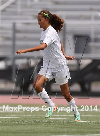 Thumbnail 2 in Manteca vs Christian Brothers (CIF SJS D3 final) photogallery.