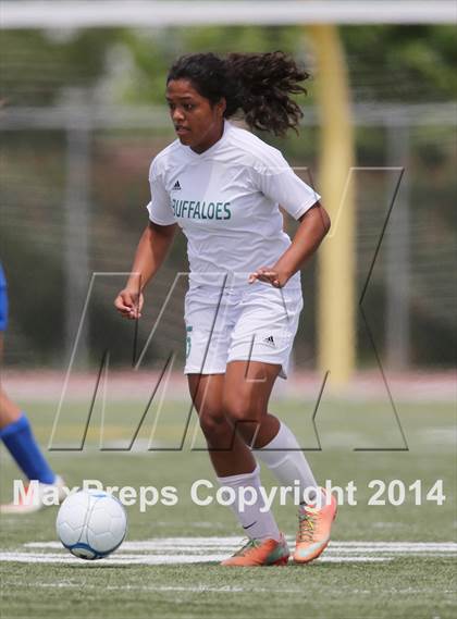 Thumbnail 2 in Manteca vs Christian Brothers (CIF SJS D3 final) photogallery.
