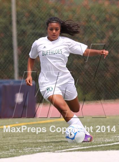 Thumbnail 1 in Manteca vs Christian Brothers (CIF SJS D3 final) photogallery.