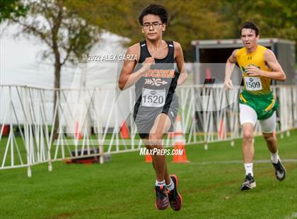 Thumbnail 1 in UIL 2A Cross Country Finals photogallery.