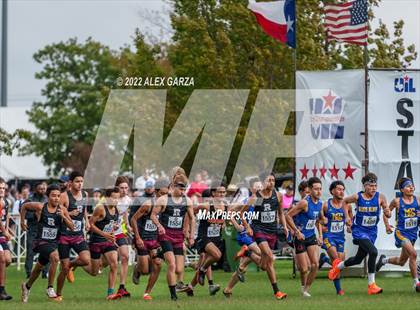 Thumbnail 2 in UIL 2A Cross Country Finals photogallery.
