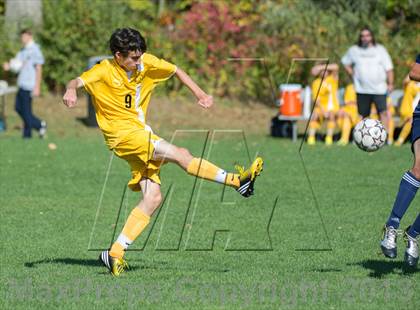 Thumbnail 1 in Immaculate @ Joel Barlow photogallery.