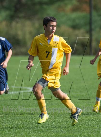 Thumbnail 1 in Immaculate @ Joel Barlow photogallery.